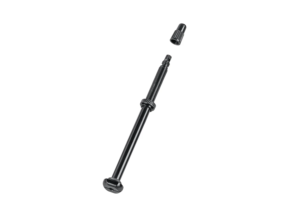 Bontrager tlr valve deals