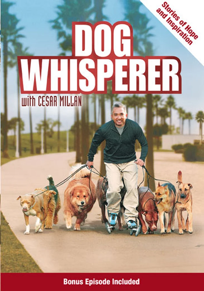 Vintage Stock Dog Whisperer with Cesar Millan: Stories of Hope u0026 Inspiration  - USED | Hamilton Place