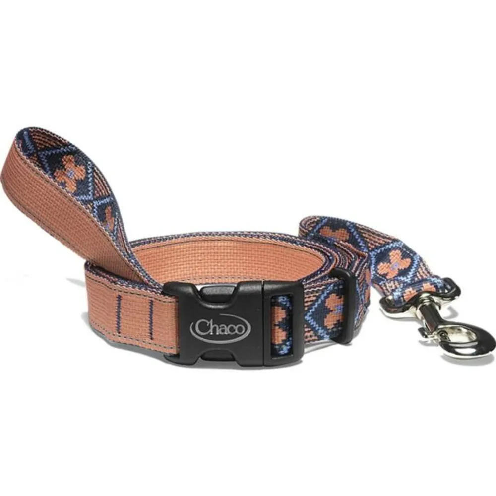 Smokey the store bear dog collar