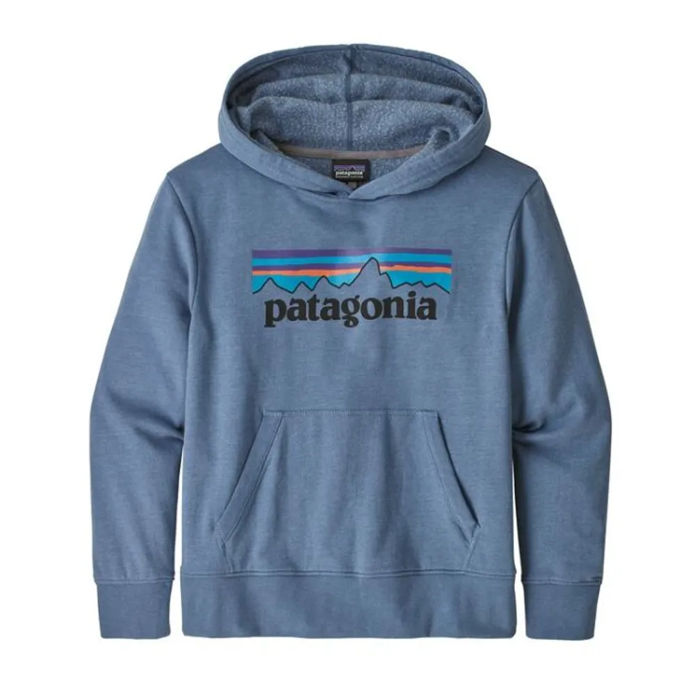 Mountain High Outfitters Patagonia Kids Lightweight Graphic Hoody