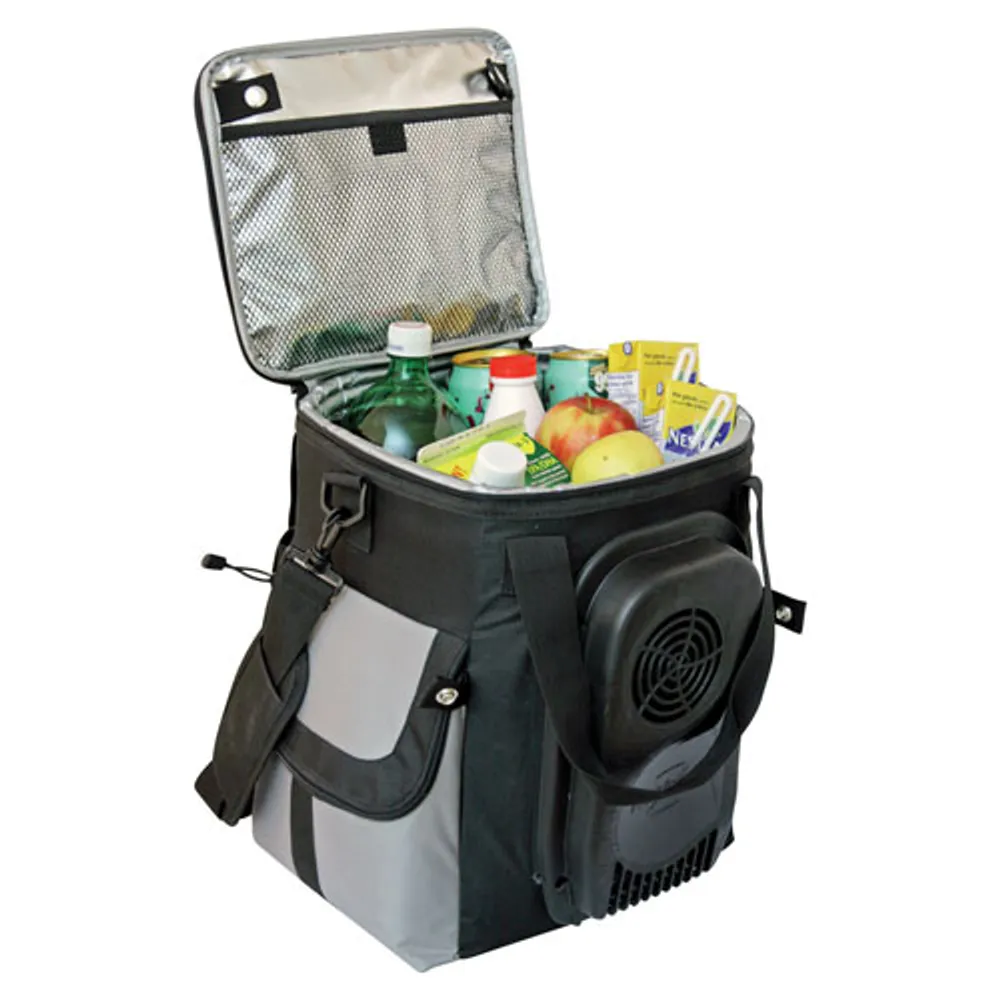 12v soft cooler bag best sale