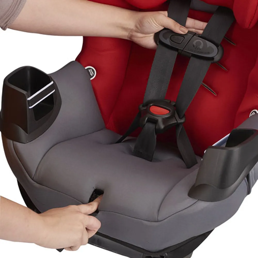 Learn about 103+ imagen evenflo convertible car seat sonus In