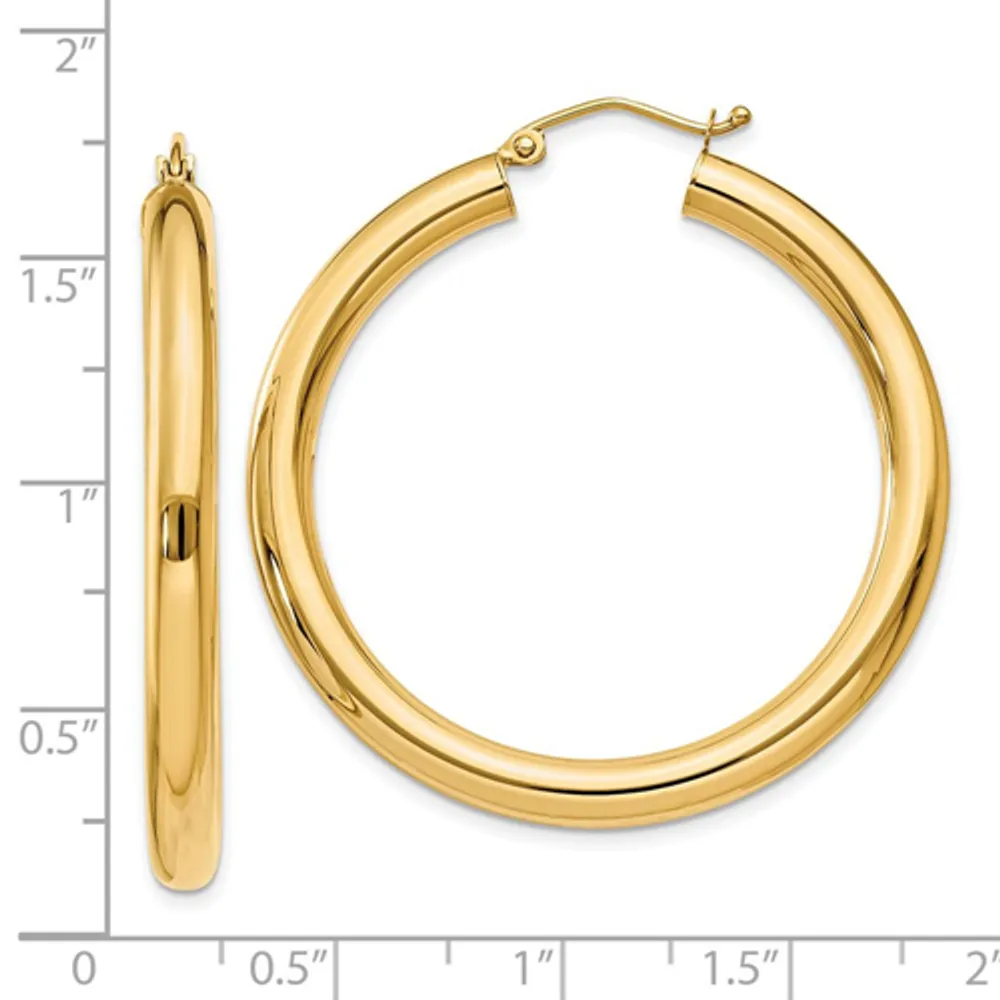 Icecarats hoop best sale earrings