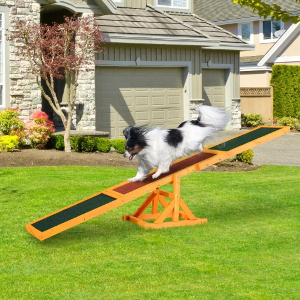 Agility training supplies top
