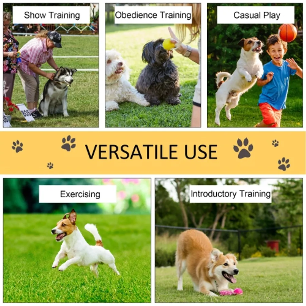 Dog obedience shop training equipment