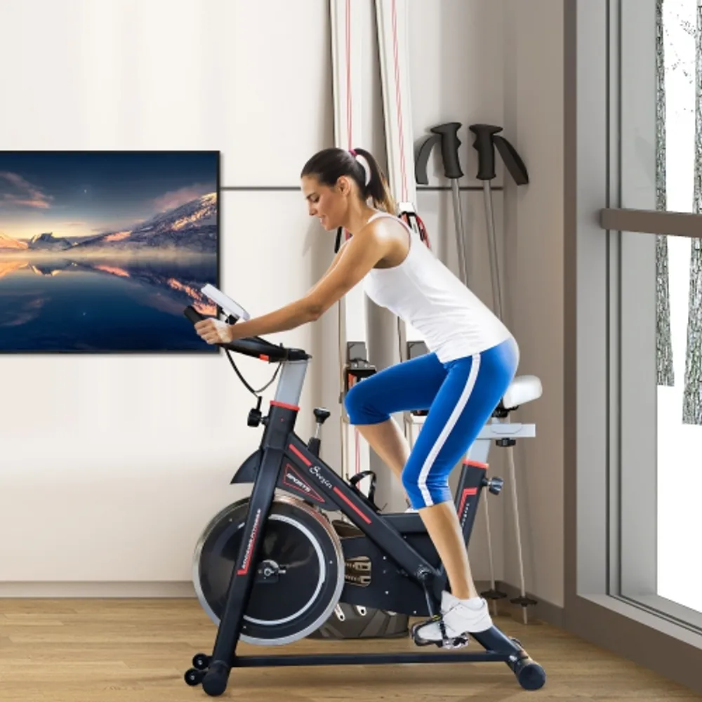 Soozier adjustable hotsell upright exercise bike