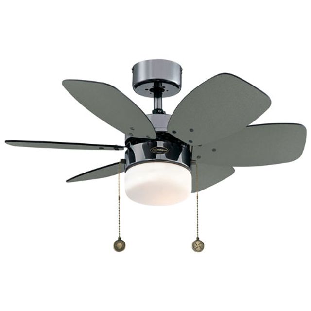 Intertek Ceiling Fan Shelly Lighting