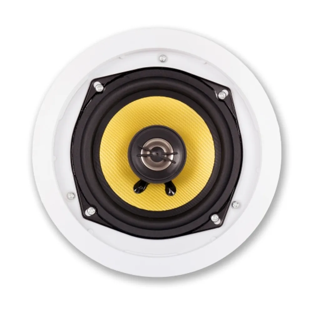Acoustic audio sale ceiling speakers