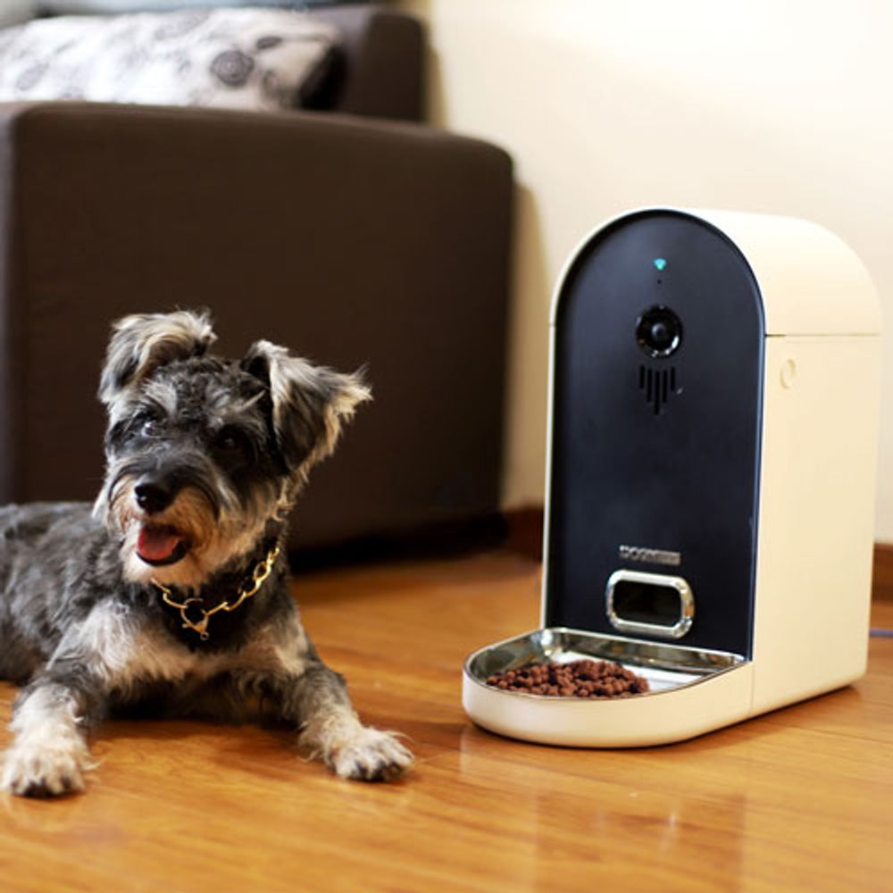 Dogness smartcam feeder online