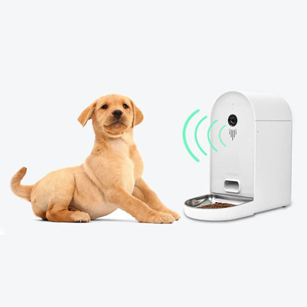 Dogness smart cam feeder clearance