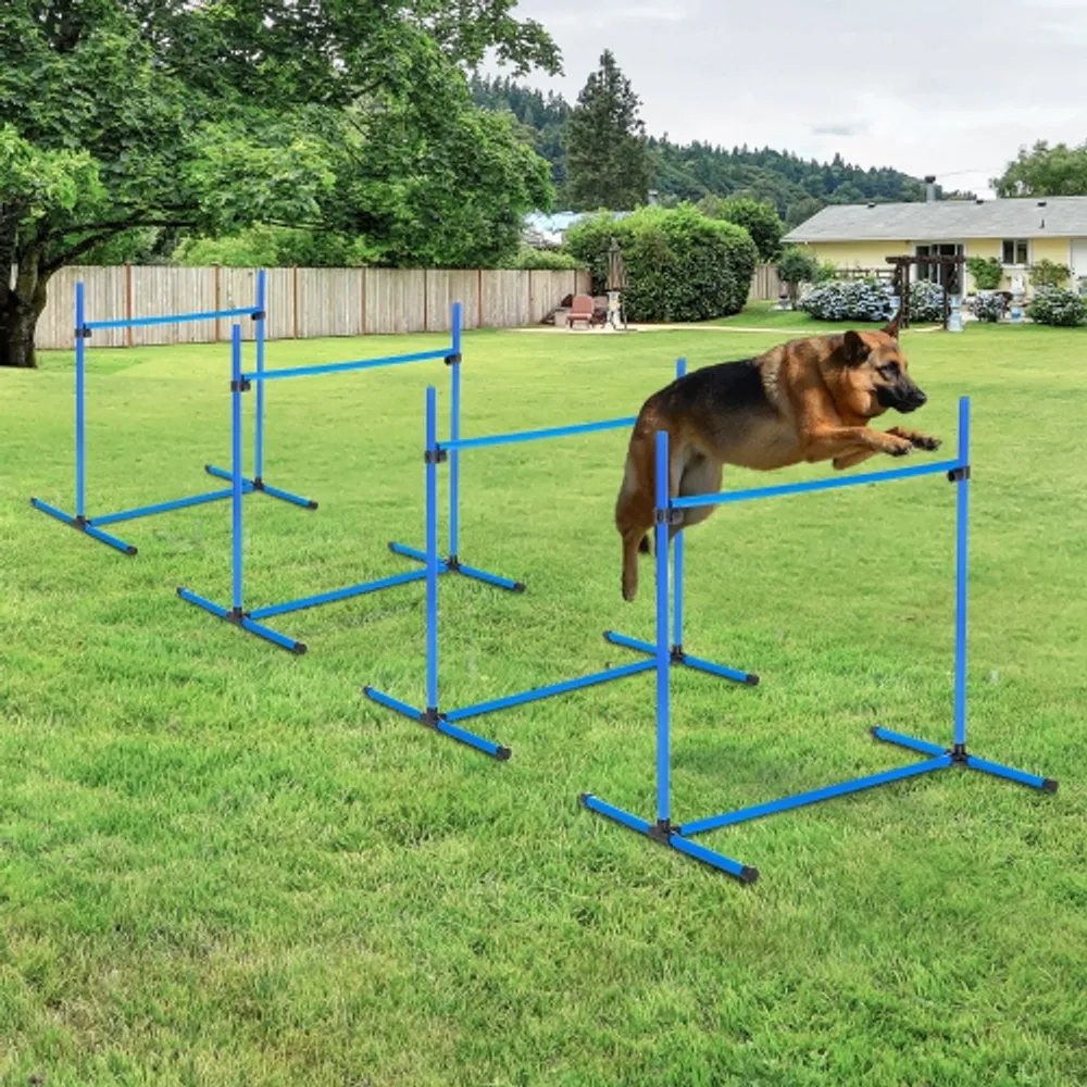 Dog sports deals gear
