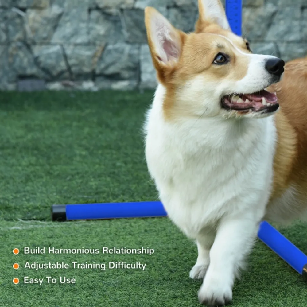 Dog sports outlet gear