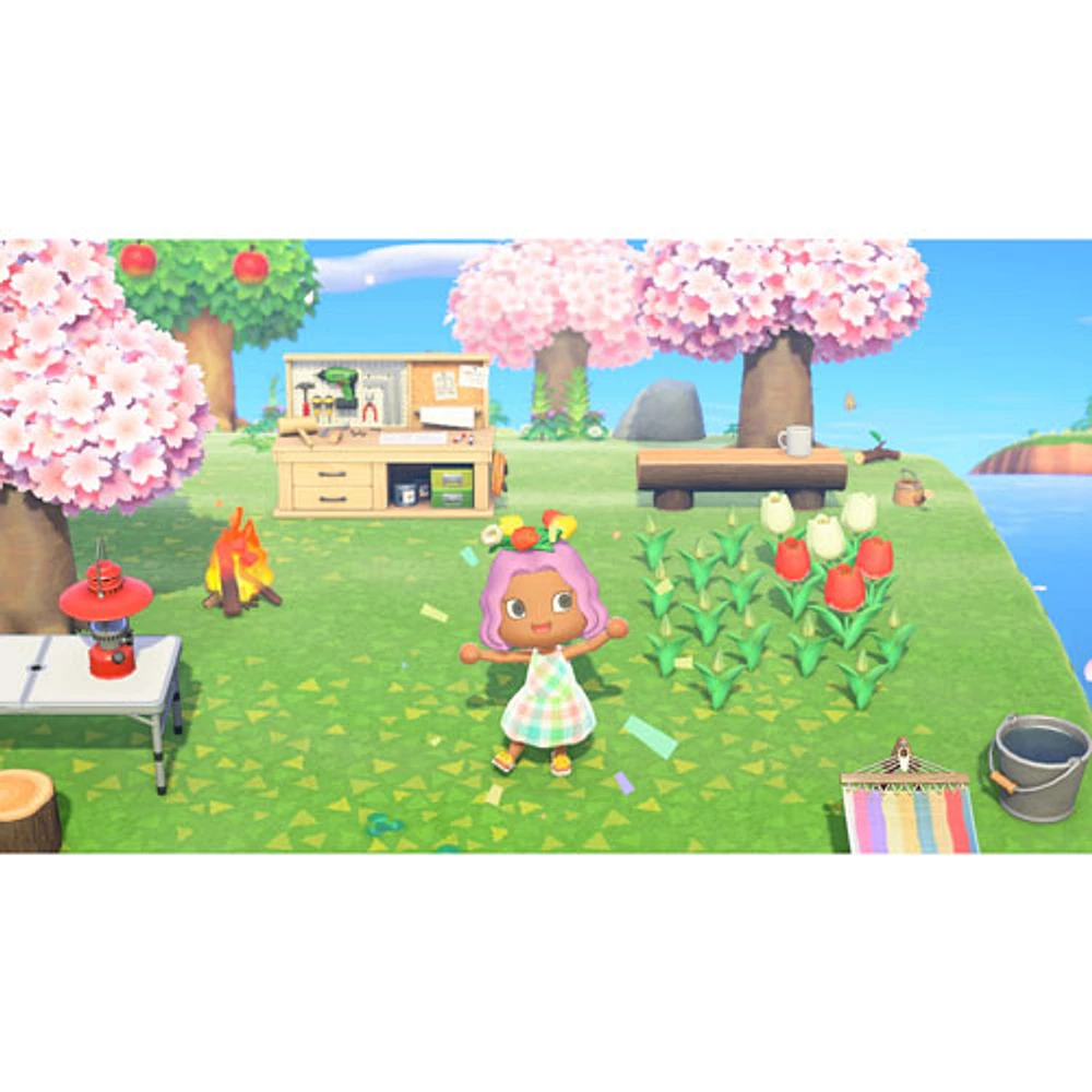 Animal crossing new horizons sales switch digital