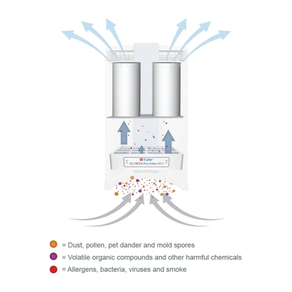 IQAir GC MultiGas HEPA Air Purifier for Areas Affected by Gas