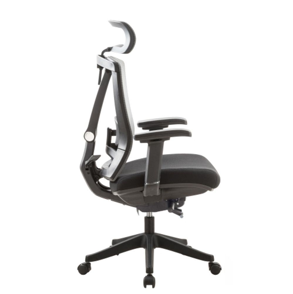 Ergochair 2 lumbar support deals