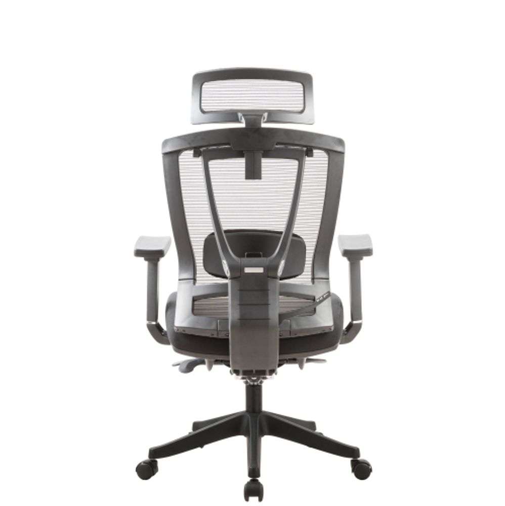 Ergochair 2 2025 lumbar support