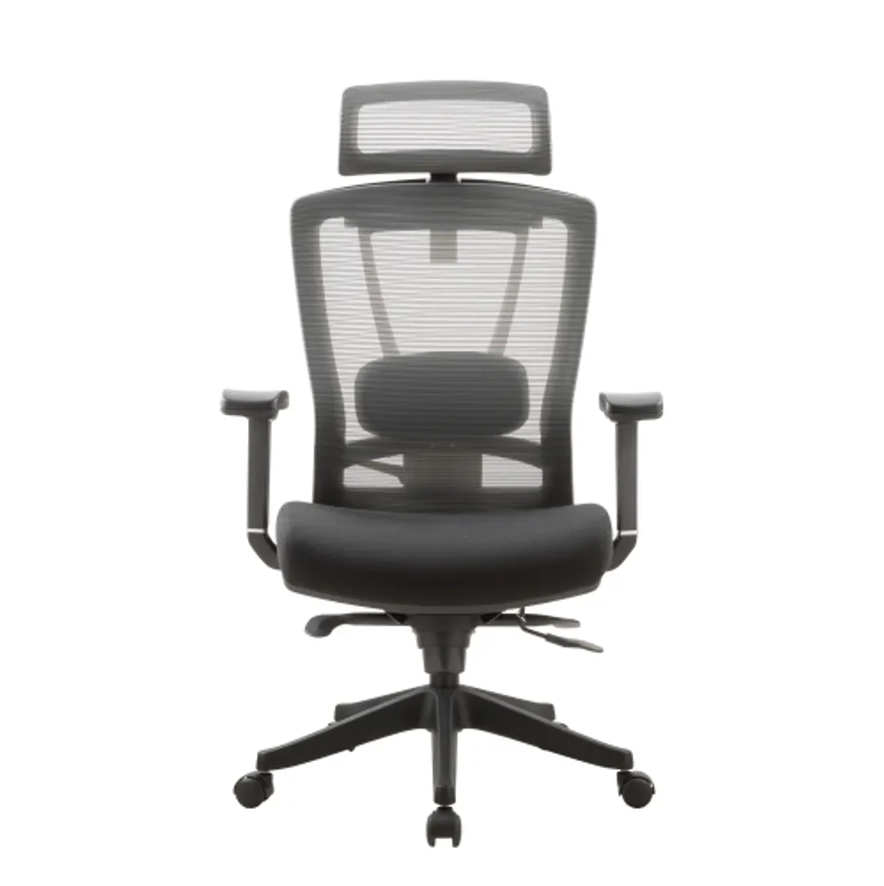 Ergochair 2 sales lumbar support