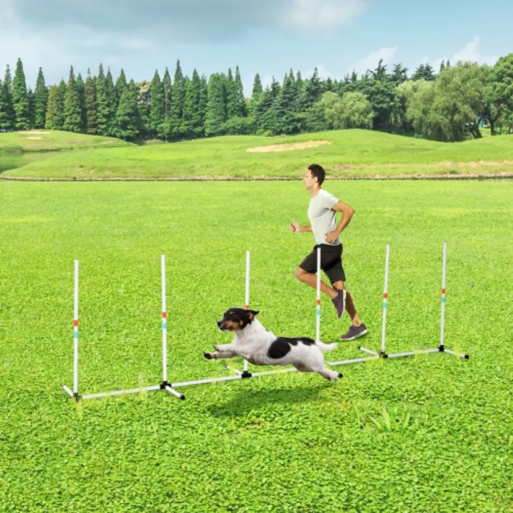 Freestanding dog agility equipment online