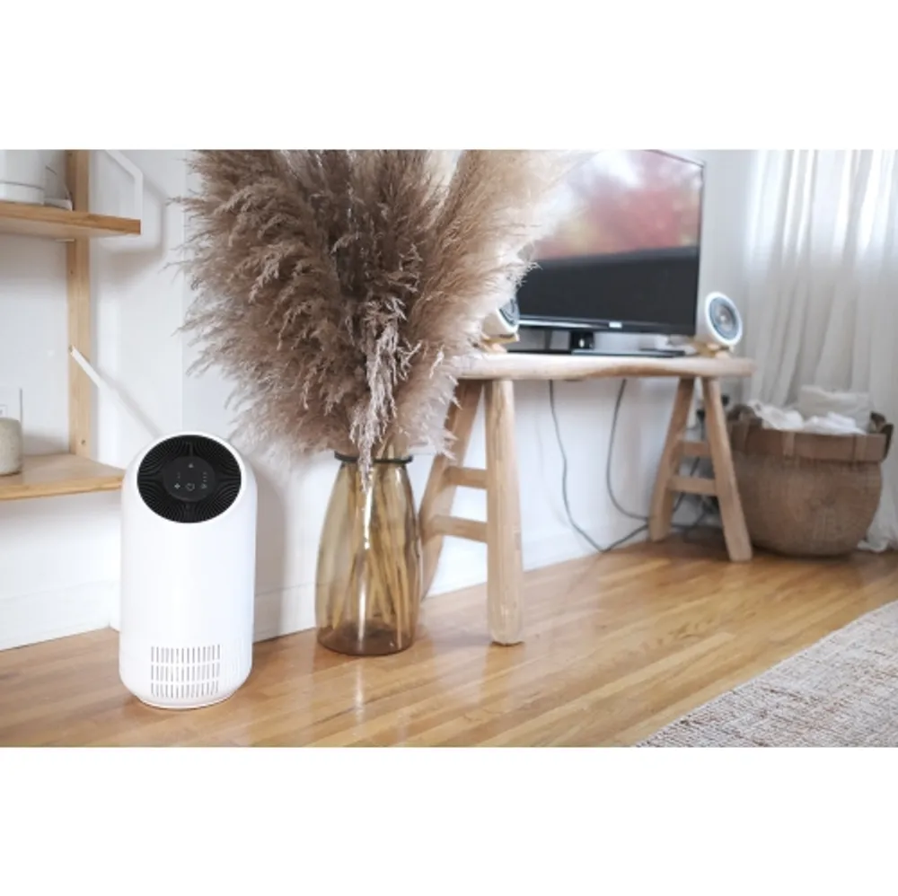 Js innovations air purifier deals