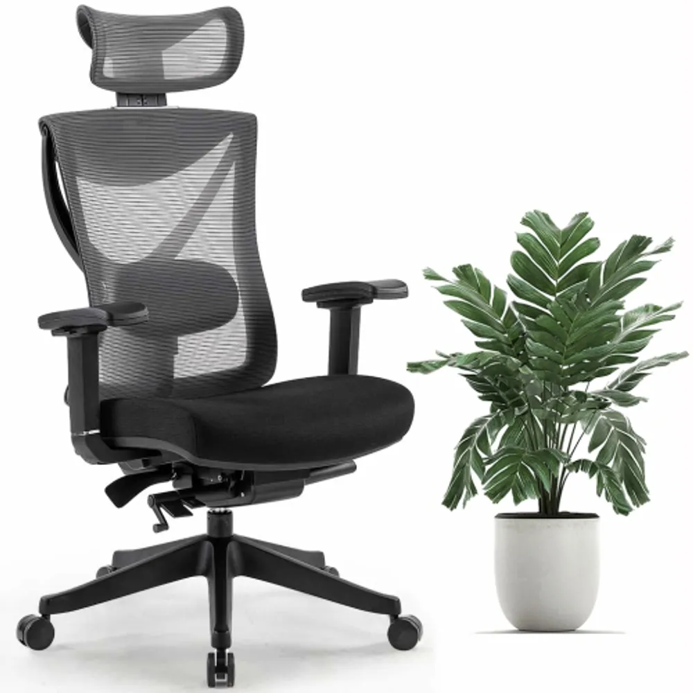 Motiongrey executive ergonomic discount computer desk office chair