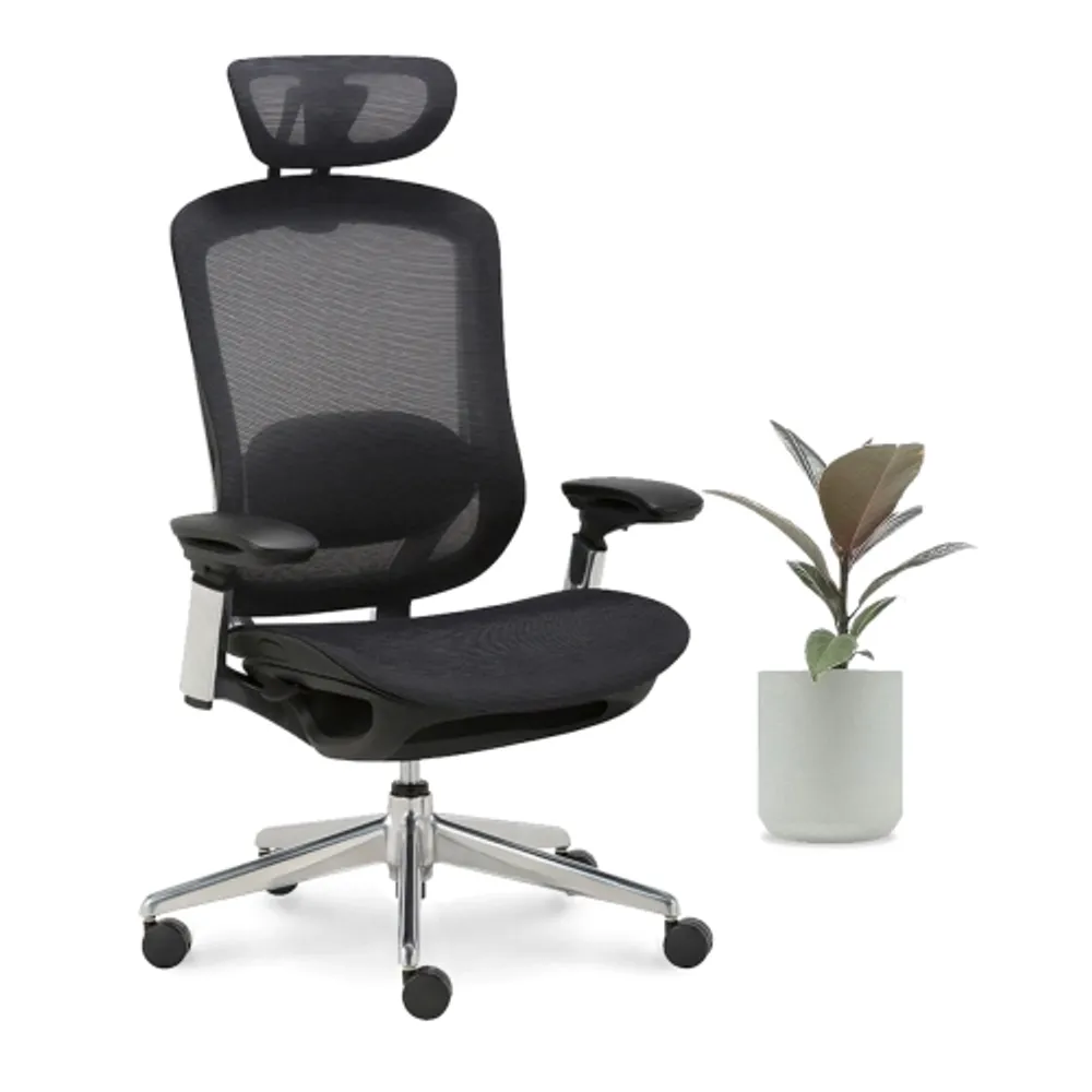 Scarborough ergonomic medium 2025 back chair charcoal