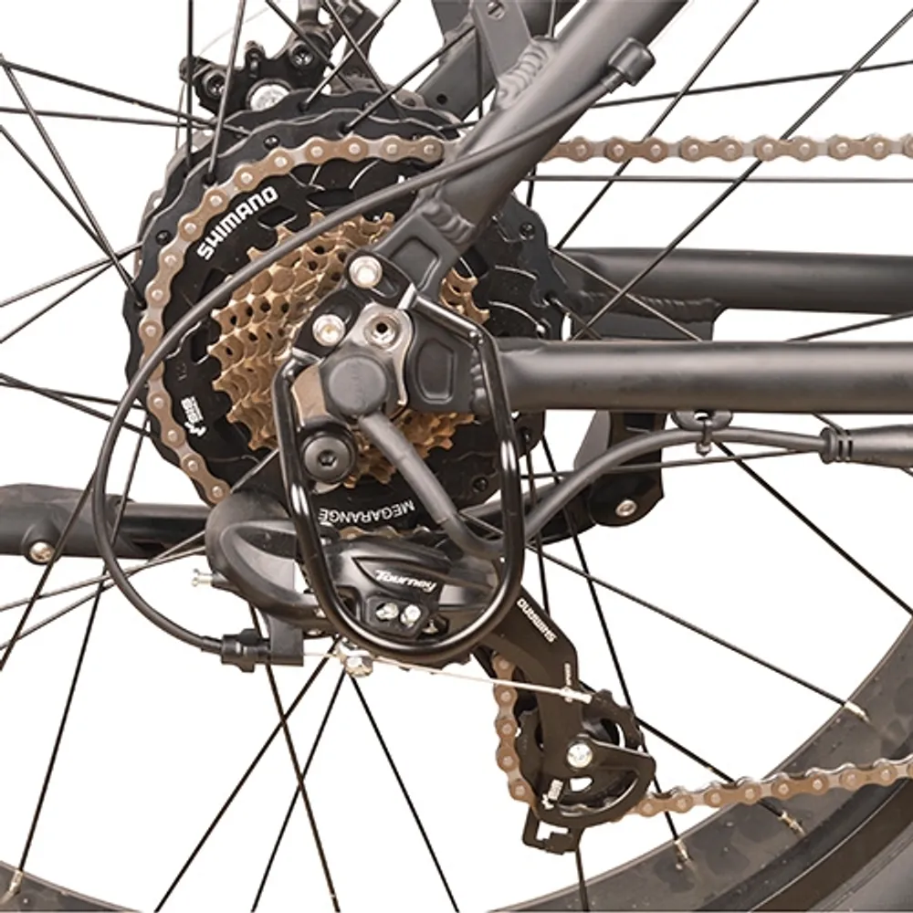 Dj fat bike 500w shop