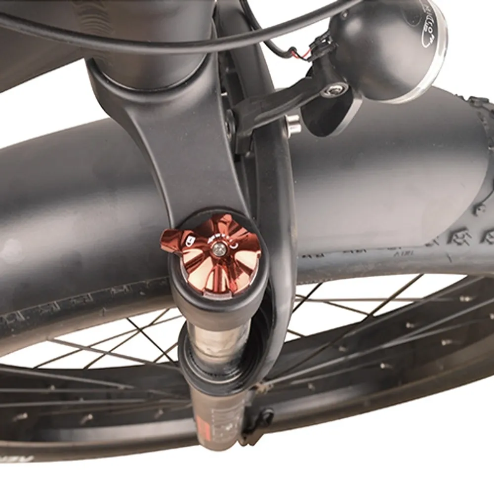 Dj folding bike 750w 48v 13ah power electric bicycle deals