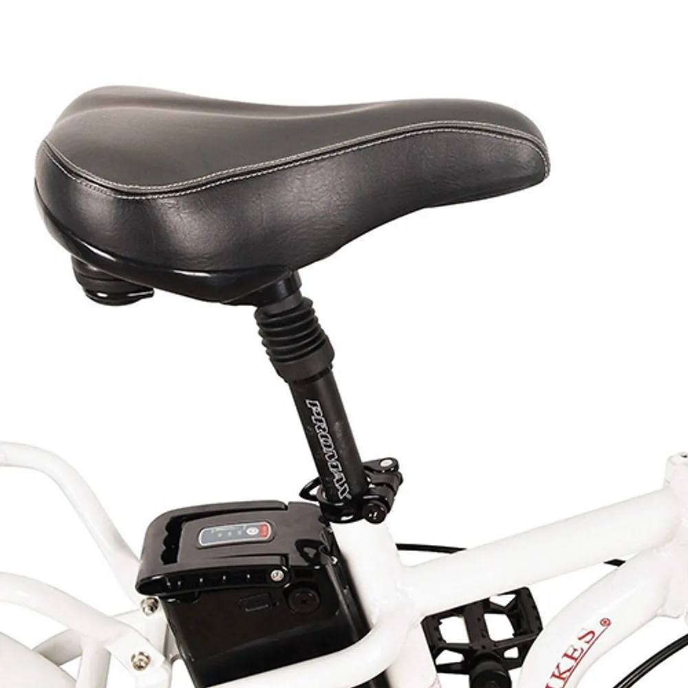 Dj fat bike 500w hot sale