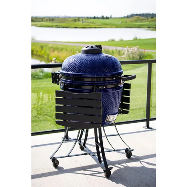 Costco Big Green Egg