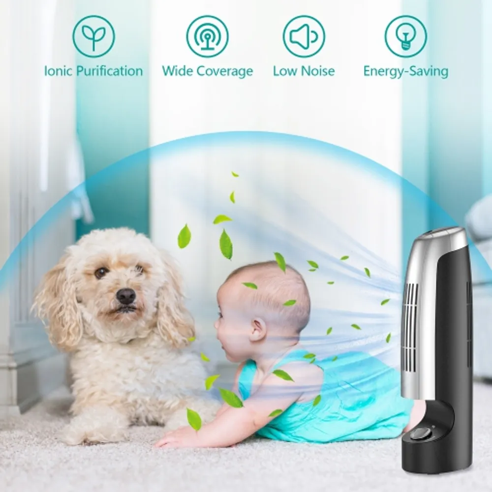 Costway ionic shop air purifier