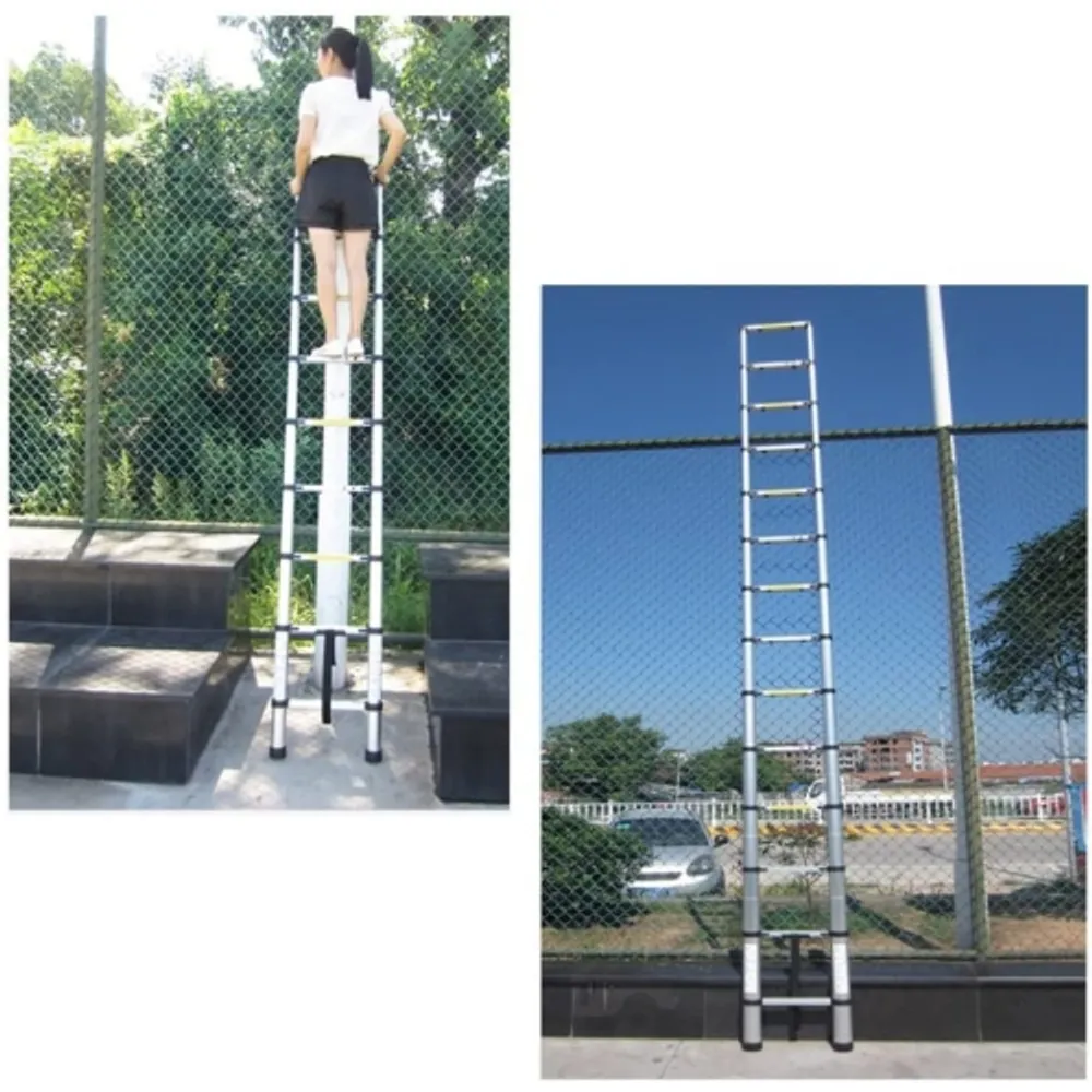 Large hotsell telescopic ladder