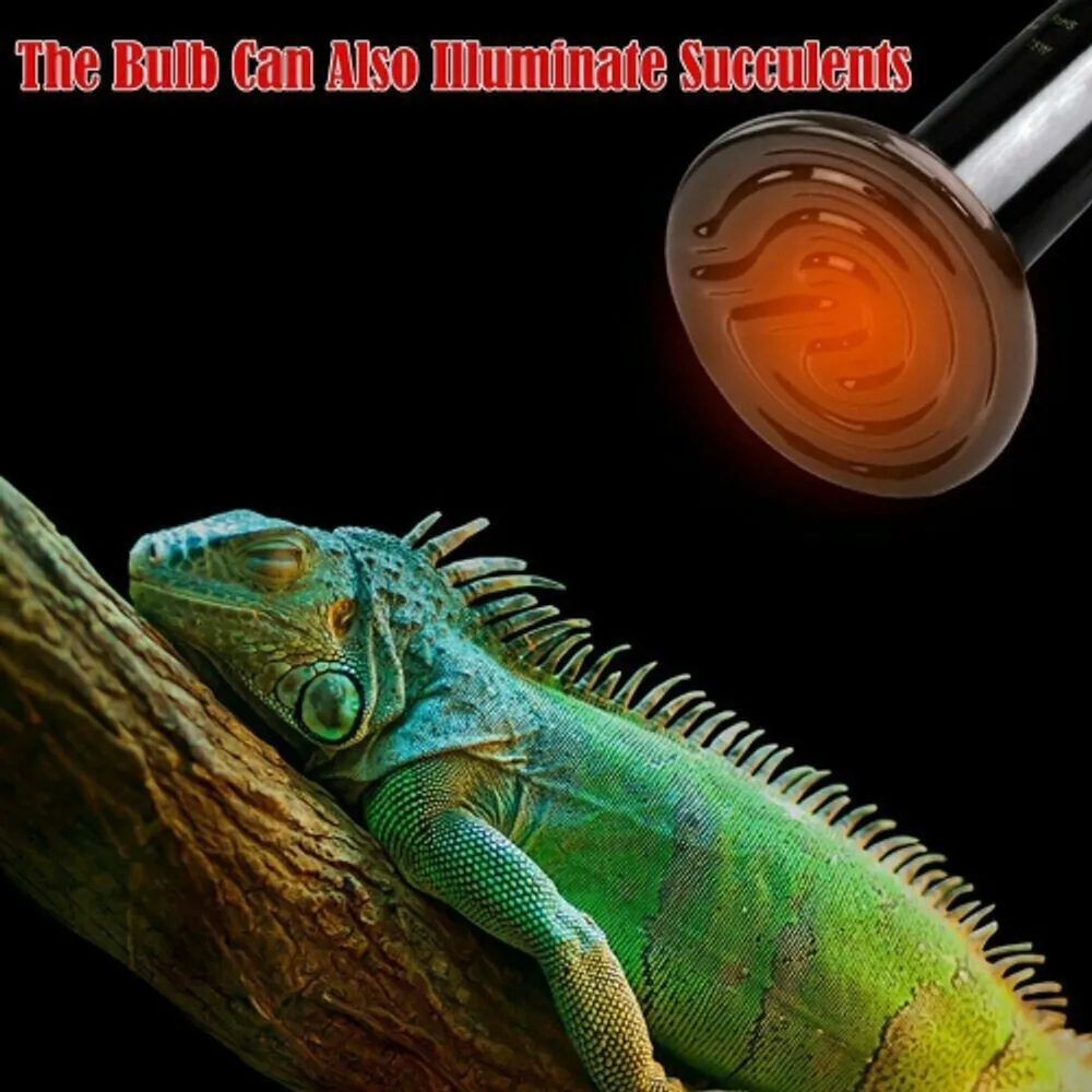 Iguana heat shop lamp wattage
