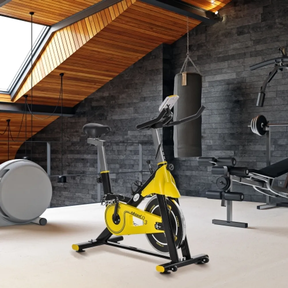 Soozier Stationary Exercise Bike Indoor Cardio Workout Cycling