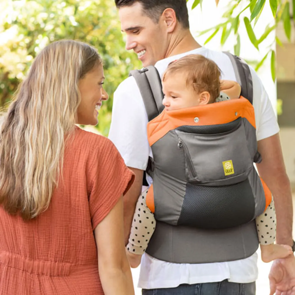 Carryon airflow deals
