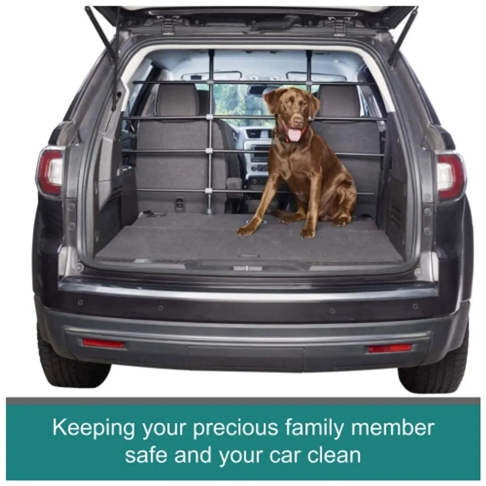 Car divider for online cats