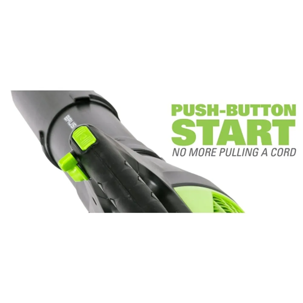Greenworks bl80l00 sales
