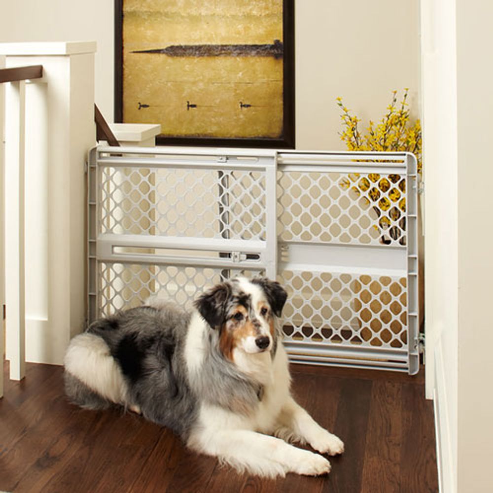 Supergate expandable store swing gate