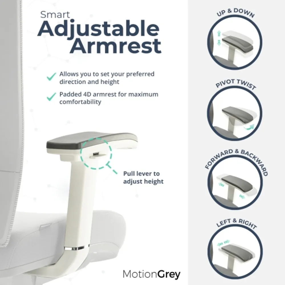 Motiongrey executive ergonomic computer 2025 desk office chair