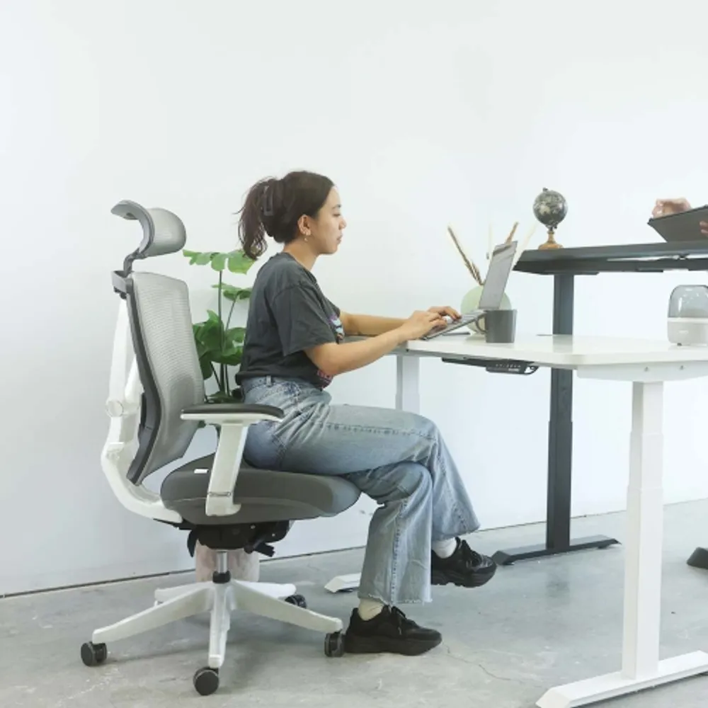 Motiongrey executive ergonomic computer desk shop office chair with mesh back