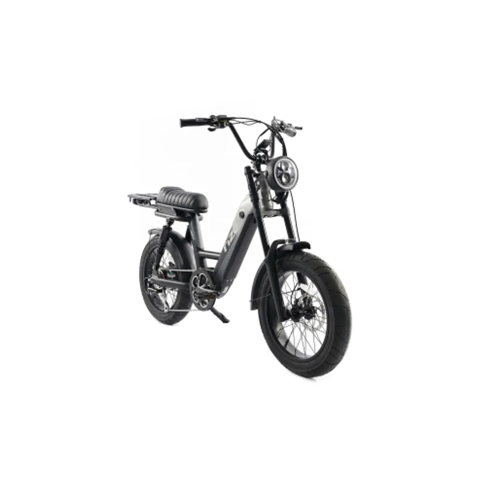 RIZE BIKES Liberty Retro Electric Bike Rize Bikes Powerful