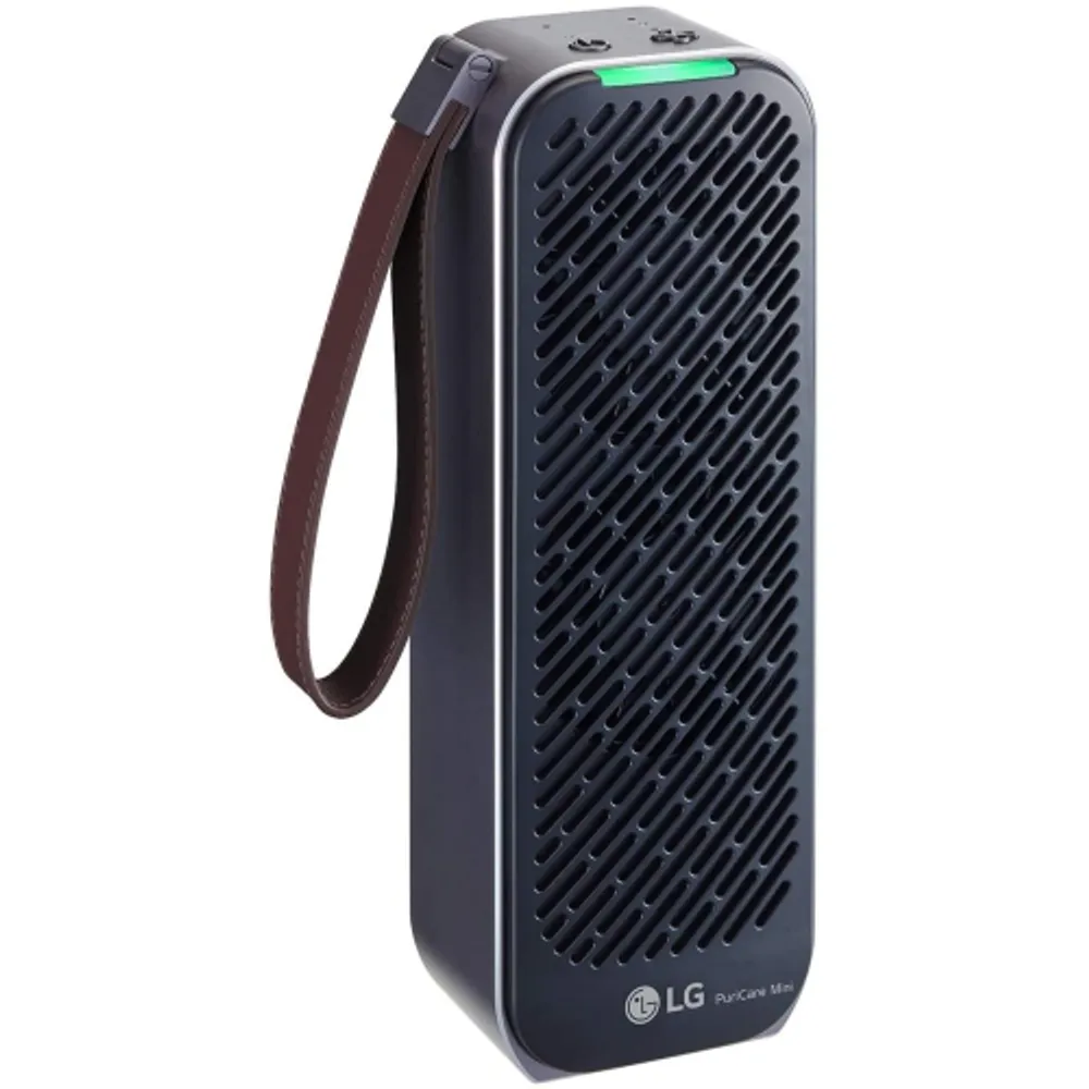 Lg car online air purifier