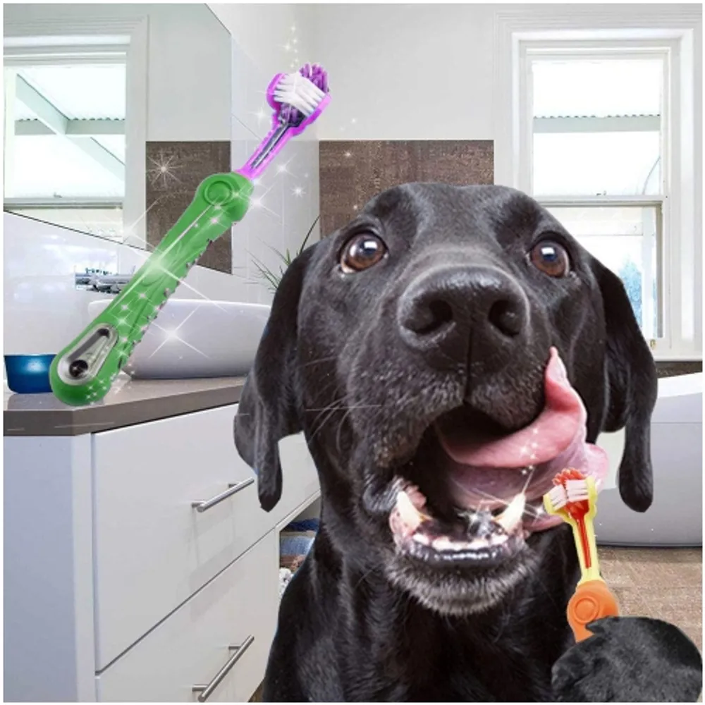 ISTAR Pet Dog Oral Cleaning Tool Pet Three head Toothbrush Soft