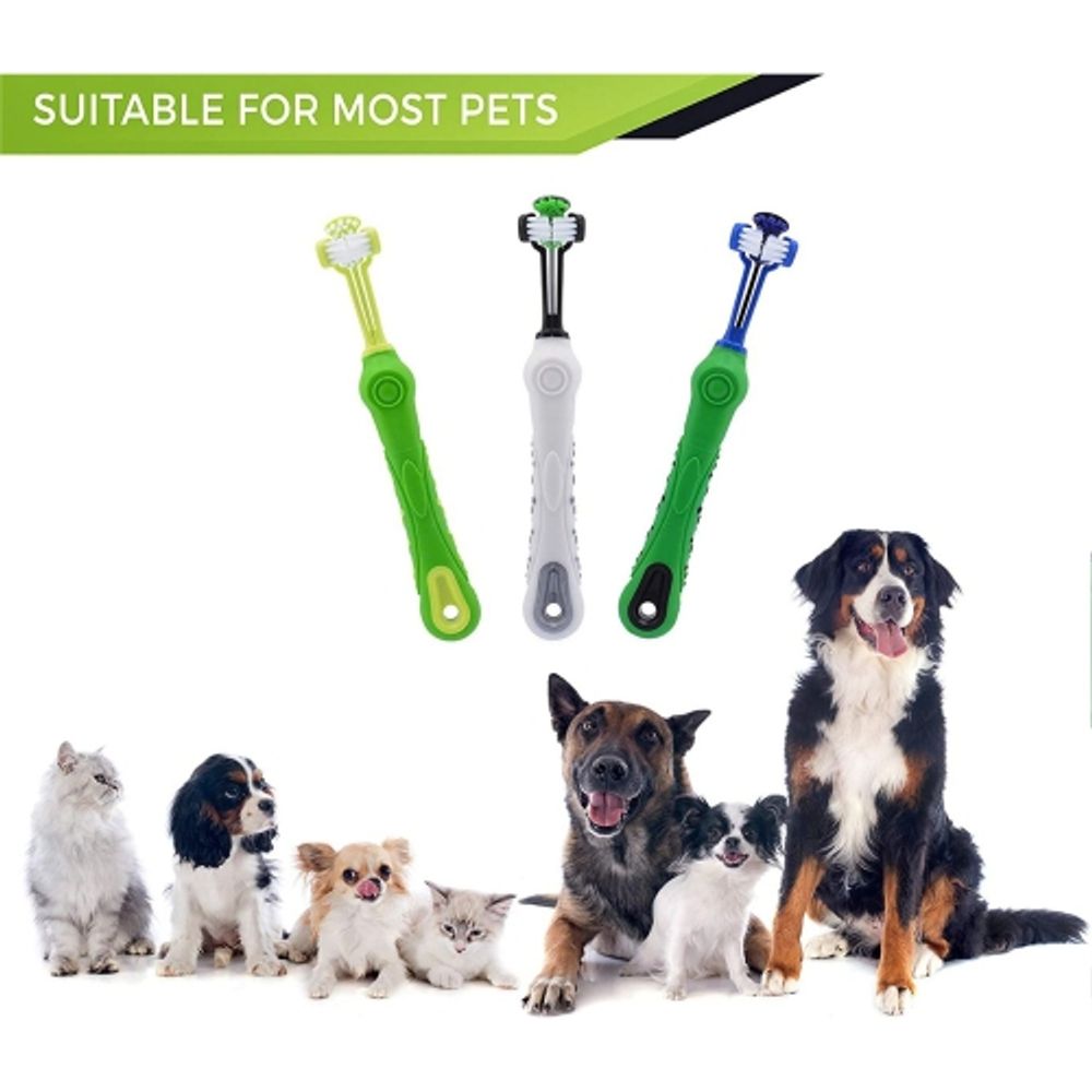 Is Rubber Bad For Dogs