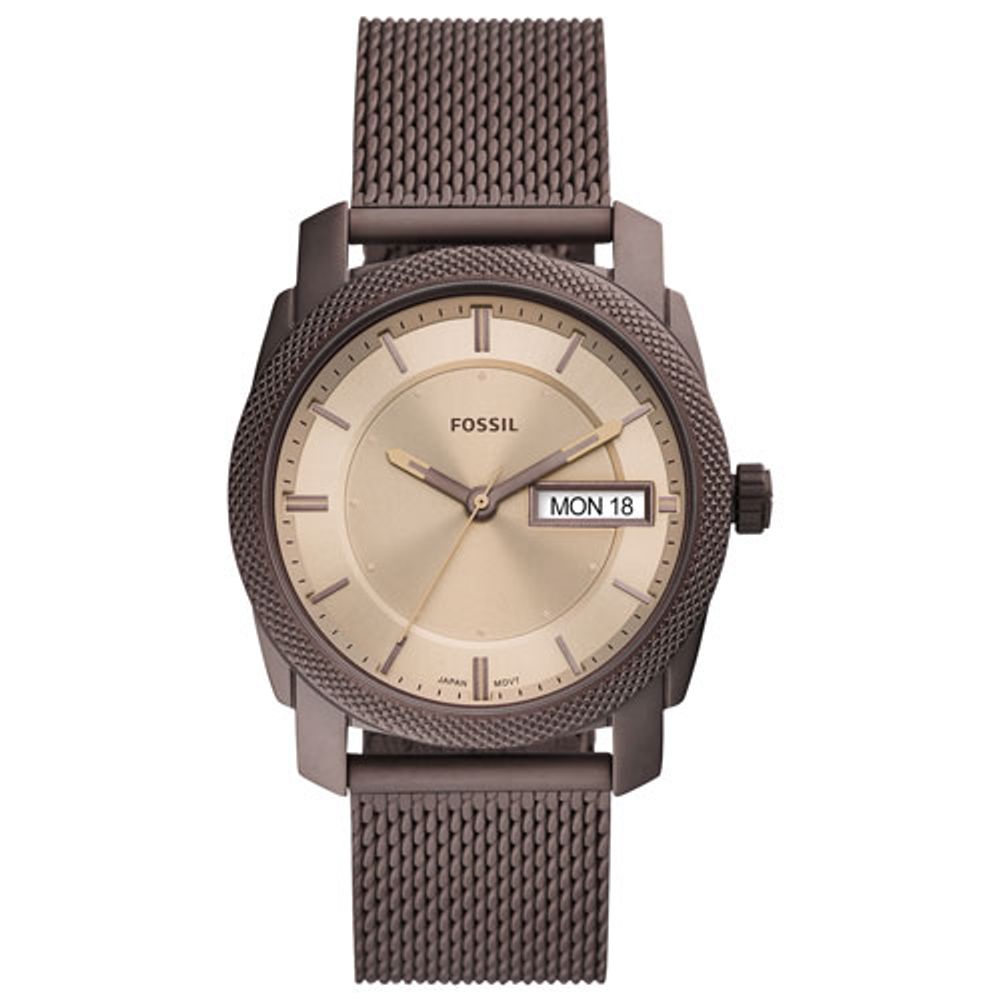 Fossil raiders online watch