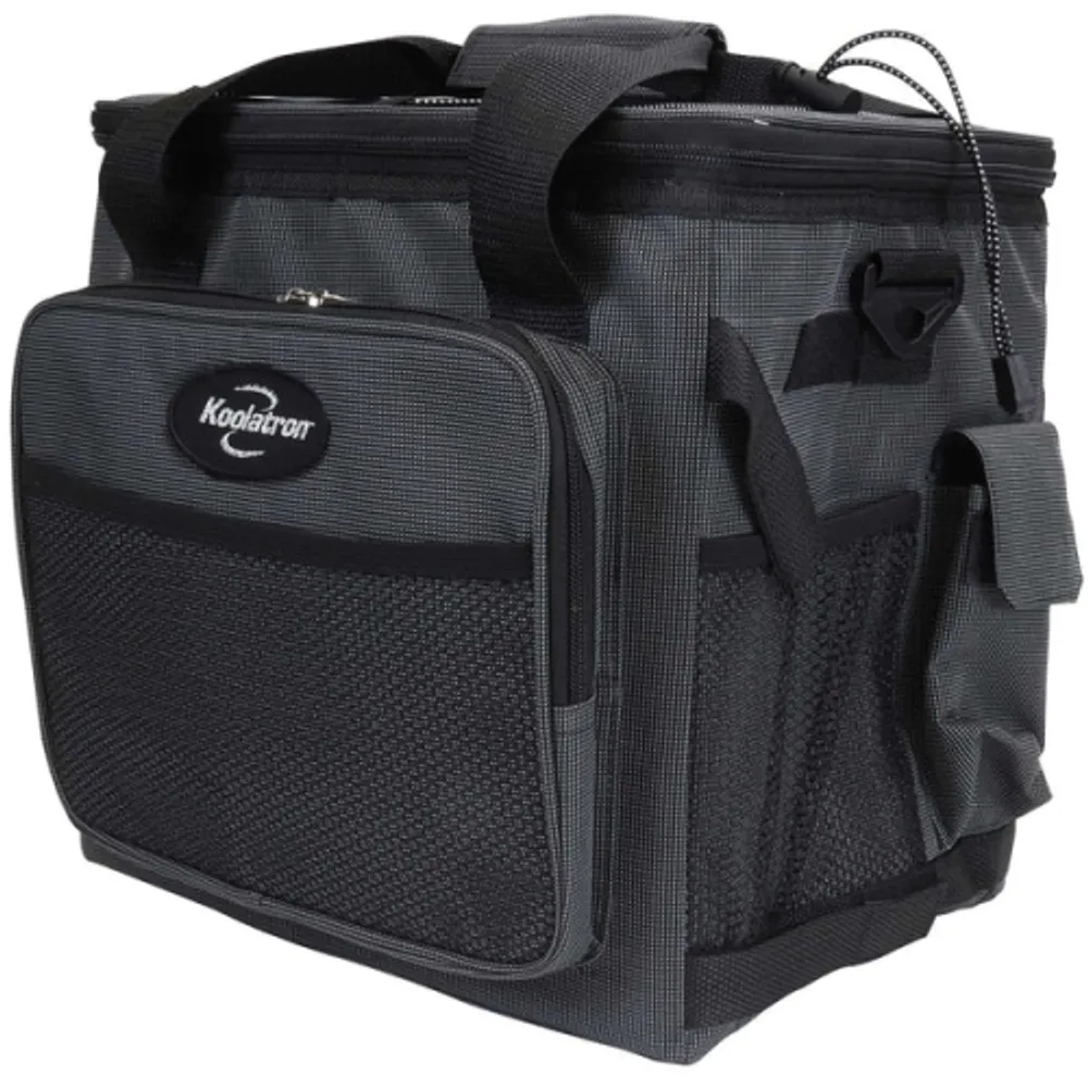 週末限定直輸入♪ D25 Hybrid Portable 12V Cooler Bag with Shoulder Strap, 24.5L 26  qt Soft-＿並行輸入品