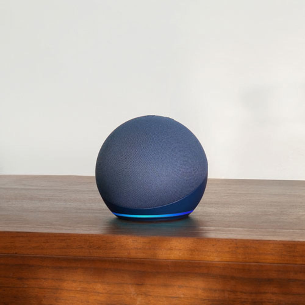 Amazon echo speaker static online
