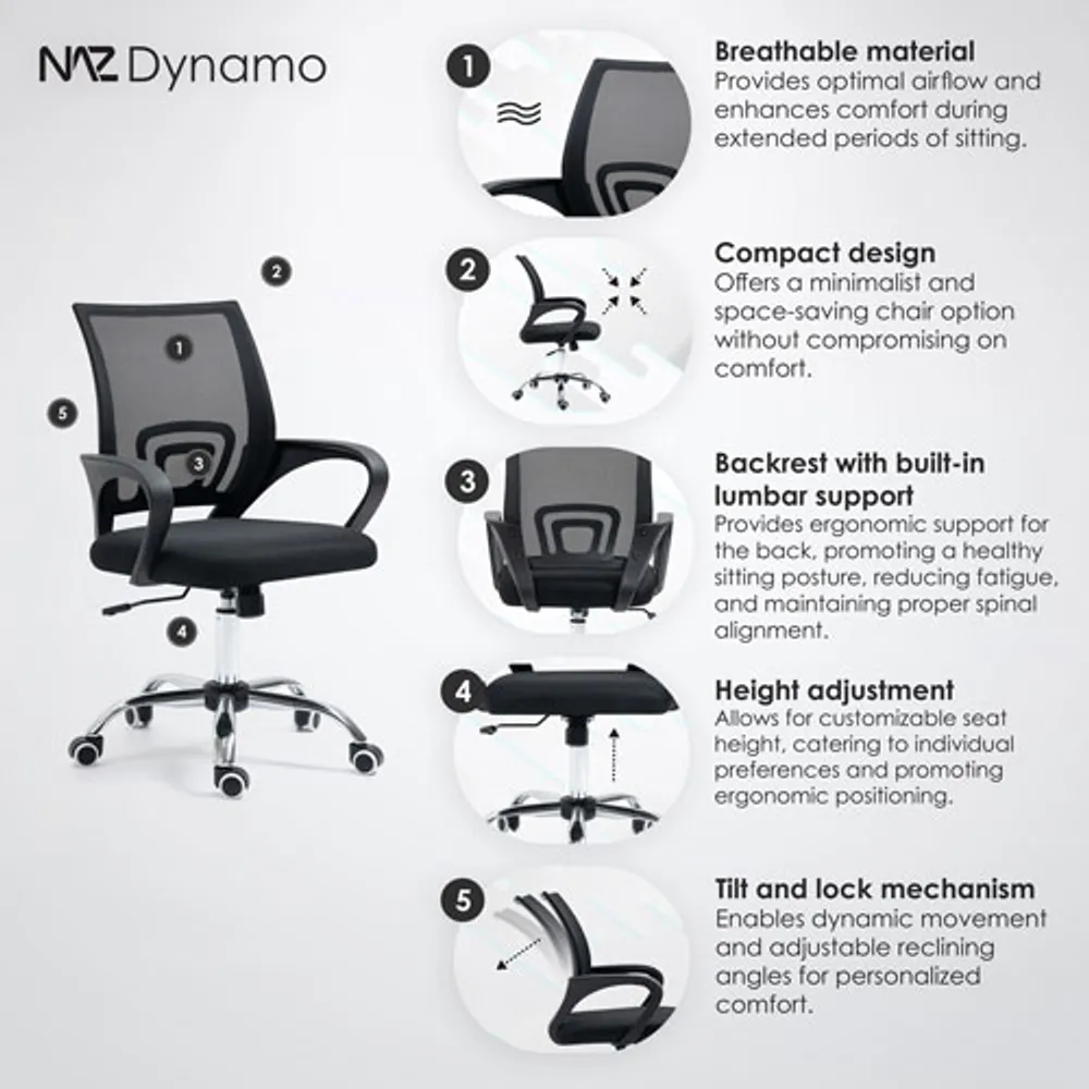 Dynamo ergo 2025