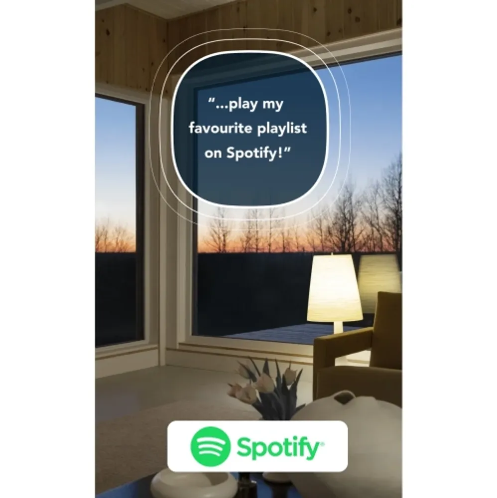 Ecobee spotify best sale