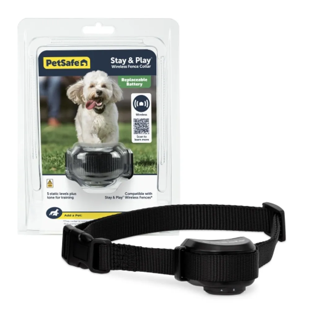 Static correction 2025 dog collar