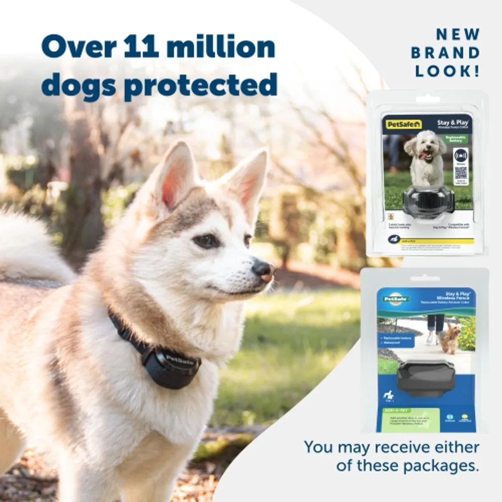 Static correction for dogs sales